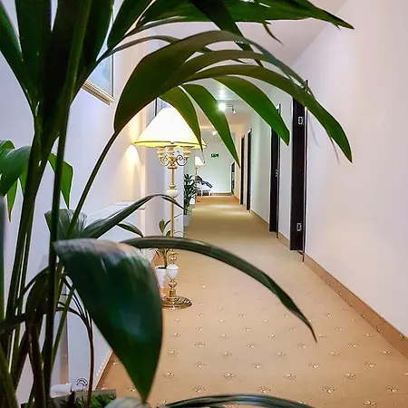 Fundeni Medlife Gasthuis Boekarest